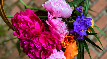 From Our Garden: Roses in Skincare, Timeless Beauty and Magic