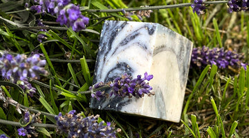 National Lavender Day: Celebrate This Versatile Herb