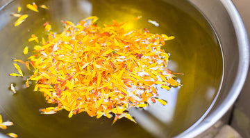Vibrant Calendula: A Long List of Benefits for Your Skin