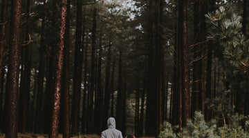 Get Outside and Celebrate National Parks and Recreation Month!