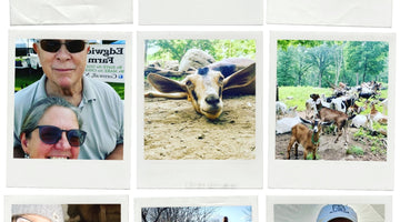 Meet Edgwick Farm: SallyeAnder's Hudson Valley Source for Goat Milk
