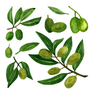 Why we use olive oil and why we reject coconut and palm oils.