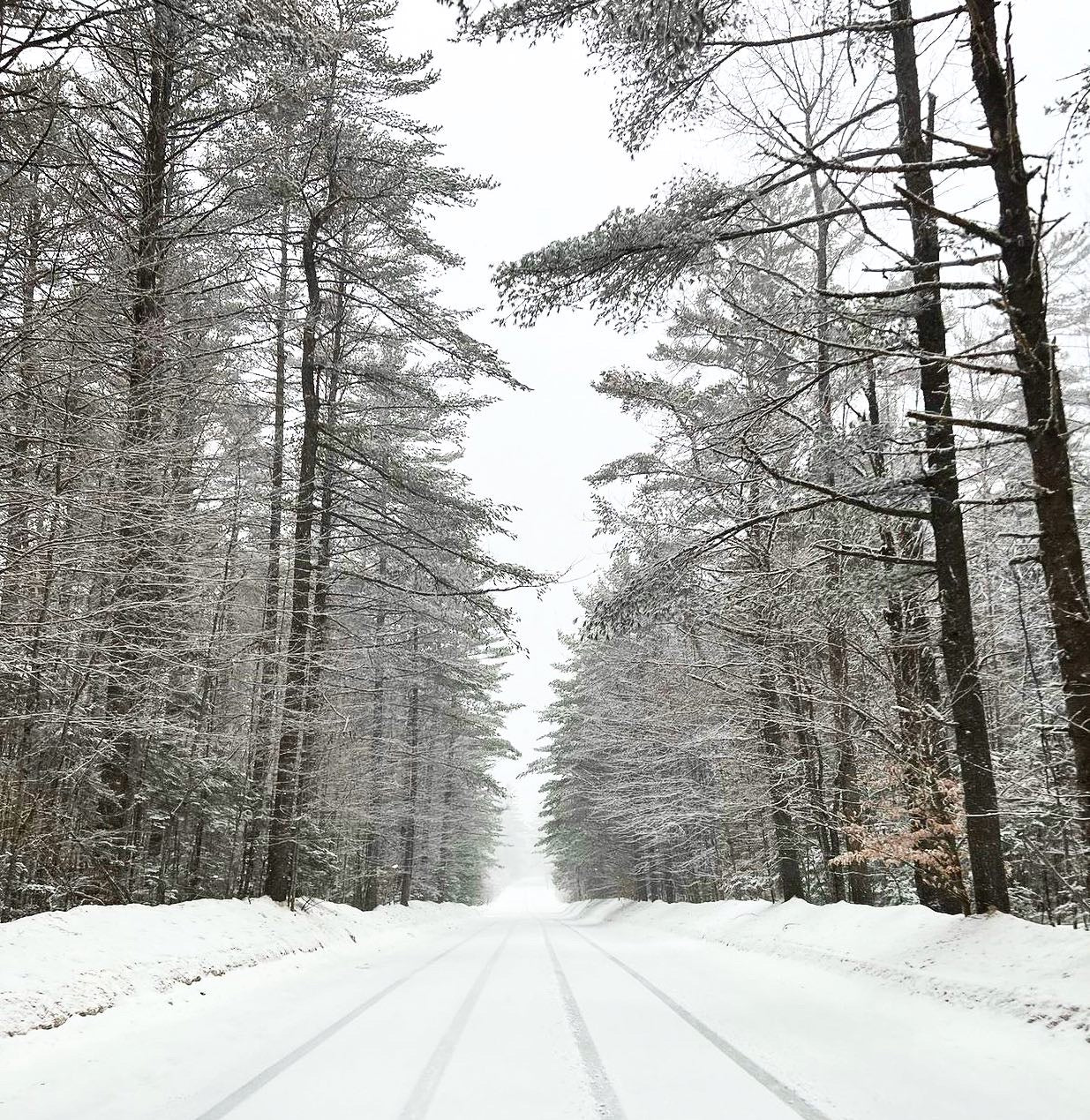 Winter Relief